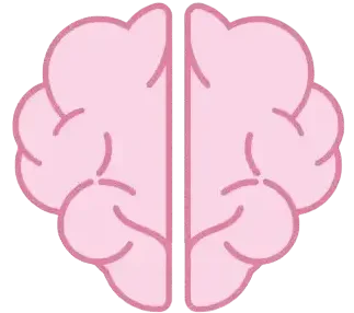Illustration cerveau